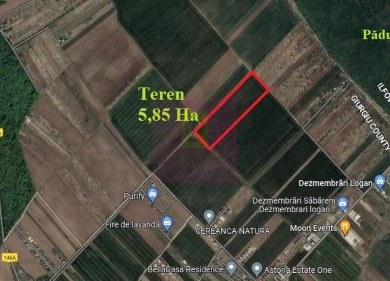 Sabareni, teren 5,85 ha, intravilan rezidential, intre 2 paduri