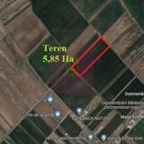 Sabareni, teren 5,85 ha, intravilan rezidential, intre 2 paduri